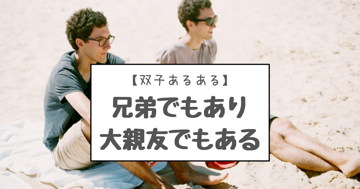 双子あるある 双子は兄弟でもあり大親友 双子で産まれたかった こそだてあんど